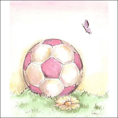 Quelle équipe nationale de football a pour surnom "La Celeste" ?