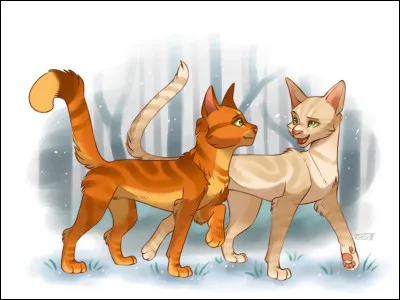 Étoile de Feu a séduit quatre chattes dans toute sa vie, dont seulement deux qu'il a aimées.