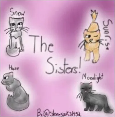 Y en a-t-il d'autres ?