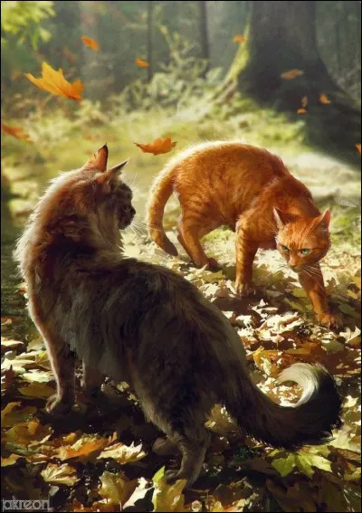 Un chat errant saute près de toi et feule !
''-Dégage de mon territoire, cervelle de rapace !''
Il s'élance et te griffe les pattes !
Quelle est ta réaction ?