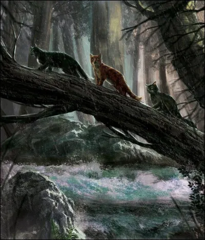 Si tu pars pour un long périple, où t'installes-tu la première nuit ?