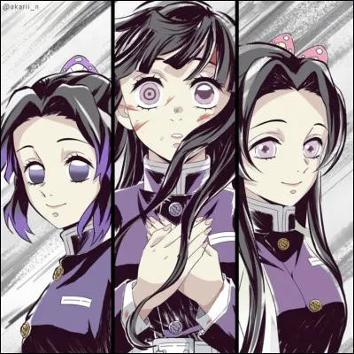 Avant Kanao, Shinobu avait-elle eu d'autres tsuguko/successeurs ? Si oui, combien ?