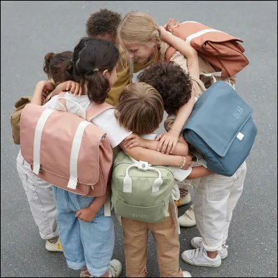 Dans quelles sagas y a-t-il des écoles spéciales ?