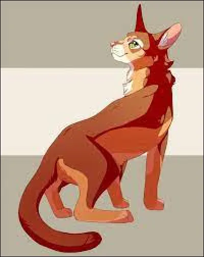 Tu deviens apprenti ! Ton nom est Nuage de Feuilles. Quel type de mentor espères-tu avoir ?