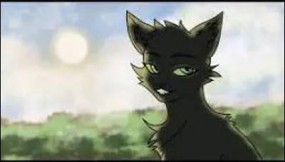 Tu as finalement Patte Fauve comme mentor. Il t'apprend toutes sortes de choses, avant que tu ne rentres au camp. Tu rencontres une apprentie (de ton Clan, bien sûr), qui se nomme Nuage de Houx. C'est la seule qui ne se moque pas de toi, apparement. Elle te propose de t'aider avec ta litière.