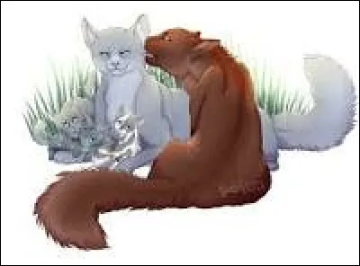 As-tu un caractère doux, alors ?