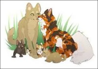 Quelles sont tes notes, en moyenne ?