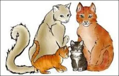 Parmi ces options, que préfèrerais-tu devenir ?