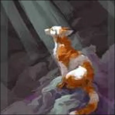 Commençons une histoire. Tu te nommes Petite Feuille. Que fais-tu en apprenant en même temps que tout ton Clan, que ton père est un solitaire ?