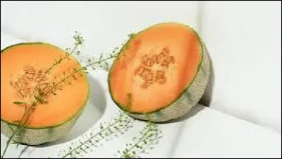 De quel continent le melon est-il originaire ?