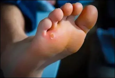 Trouvez le film d'Erwan Le Duc, de 2019.