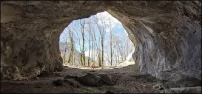 Où se trouve le plus grand instrument de musique du monde ?