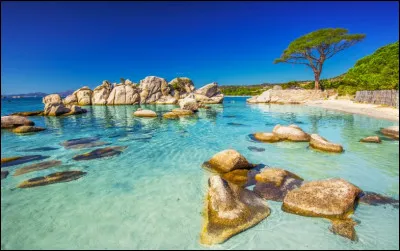 Sur quelle île se trouve cette superbe plage ?