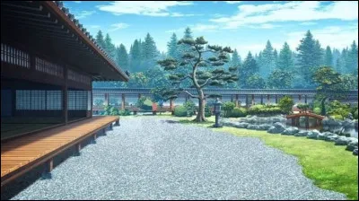 Quelle est la couleur de sa lame ?