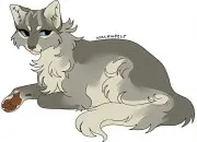 Quiz Qui fait partie de la famille de ce chat ?