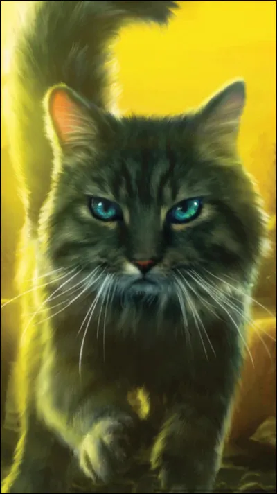 Qui fait partie de la famille de cette chatte ?