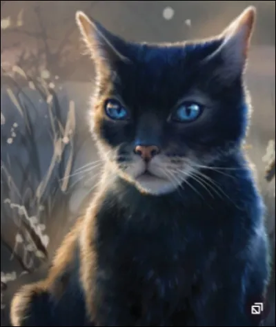 Qui fait partie de la famille de Plume de Jais ?