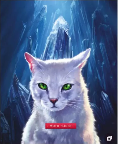 Qui a un lien du sang avec cette chatte ?