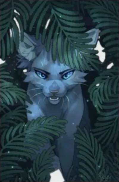 Étoile Bleue n'aimait pas Griffe d'Épines.