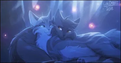 Plume Grise n'a eu qu'une compagne.