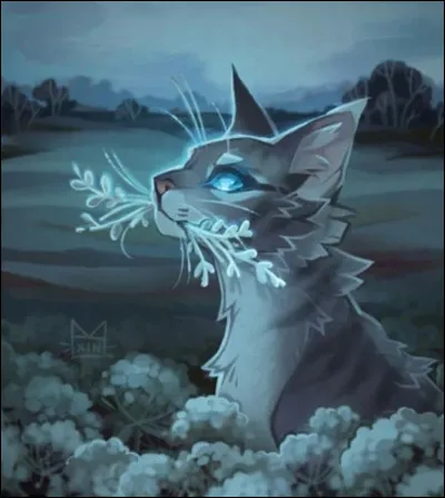 Demi-Lune aimait Œil de Geai.