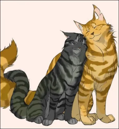 Cur Cendré n'a jamais aimé Pelage de Lion, elle l'admirait juste car c'était un bon guerrier.