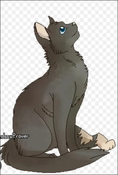 La guérisseuse avant Museau Cendré était Croc Jaune.