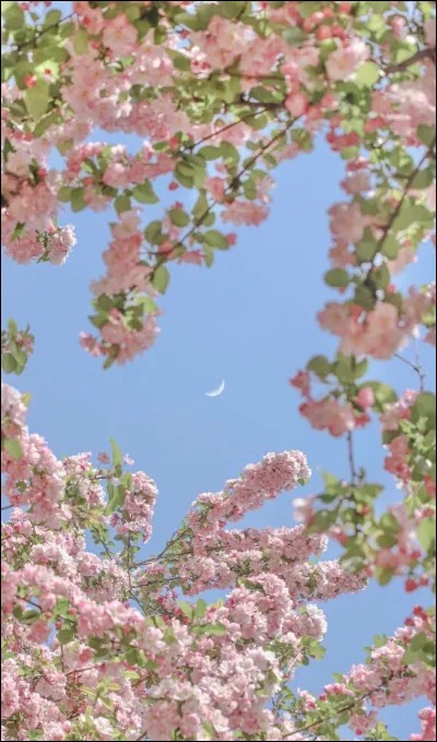 Quel est ton rapport à largent aujourdhui ?