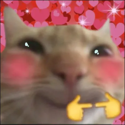 Maintenant choisis ton destin !