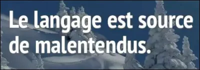 Qui a écrit cette célèbre phrase : "Le langage est source de malentendus" ?
