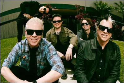 The Offspring -
Quels sont les titres qui leur appartiennent ?