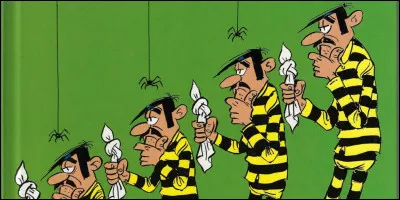 Parlons des Dalton ; pas ceux que Lucky Luke remet en prison pour qu'ils s'évadent de nouveau, mais des vrais : les bandits qui écumèrent l'ouest américain de 1890 à 1892. Voici donc les (presque) célèbres Robert "Bob" , Gratton "Grat", Emmett Dalton et ? ?