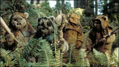De quelle planète viennent les Ewoks ?
