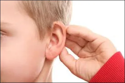 Comment se nomment les gens de Gaza ?