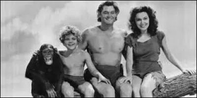 Quel grand singe est le plus près de l'homme ?