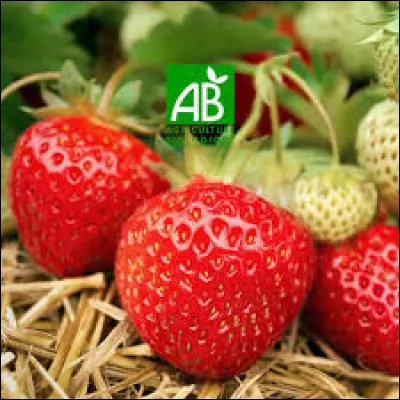 Quelle mer fait la liaison entre la mer Noire et la mer Méditerranée ?