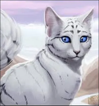 De quelle couleur le pelage de Poil d'Écureuil est-il ?