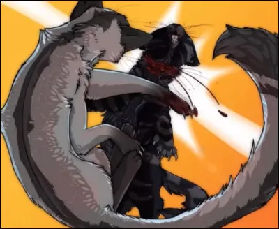 Quelle formation Jolie Plume a-t-elle prise ?