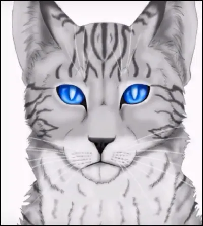 Éclair Noir est le frère de Plume Grise.