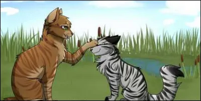 Jolie Plume est une chatte du Clan du Vent.