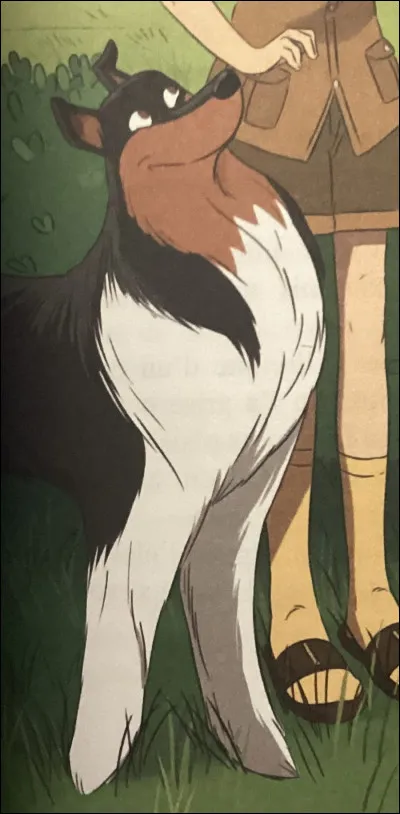 Les 5 et les papillons. Qui est-ce ?