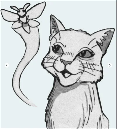 Quel est son nom de chaton ?