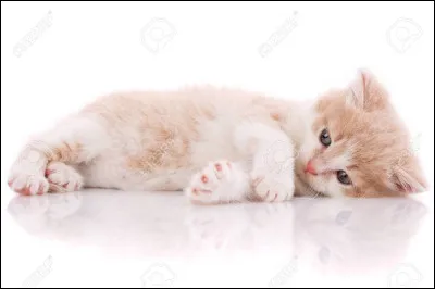 Quel est, à sa mort, son grade ?