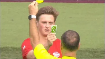 De quelle origine était l'arbitre de la finale de la Coupe de Monde de quidditch ?