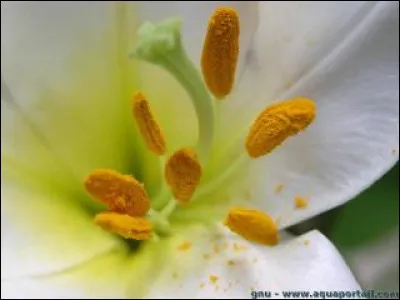 Connut un mois de mai particulièrement chaud.