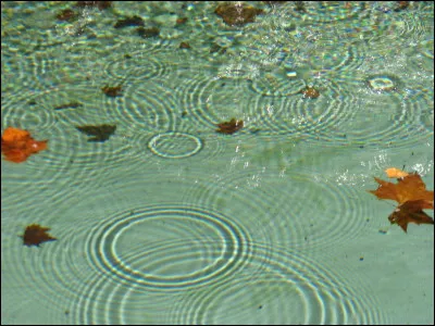 Avec Madame en archipel.