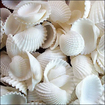 Pour toi, le blanc, c'est :