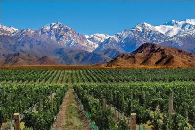 Dans quel pays se trouve la ville de Mendoza ?