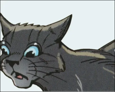 Qui ont été ses mentors ?