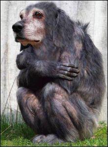 Quel est ce mlange d'animaux ?